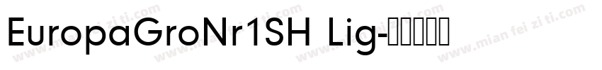 EuropaGroNr1SH Lig字体转换